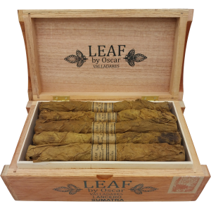 OV Leaf by Oscar Sumatra Lancero Box 20