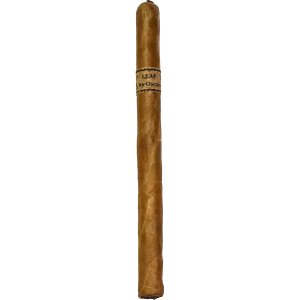 OV Leaf By Oscar Connecticut Lancero Bundle 20