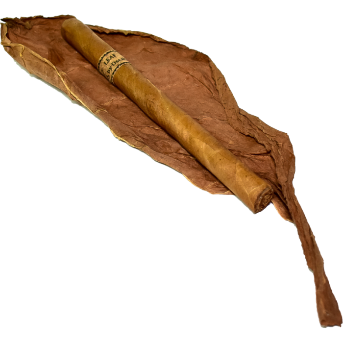 OV Leaf By Oscar Connecticut Lancero Bundle 20