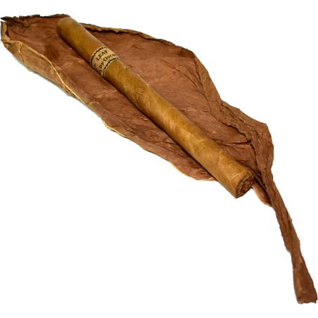 OV Leaf By Oscar Connecticut Lancero Bundle 20