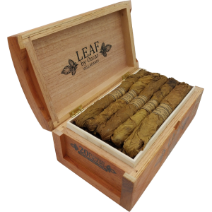 OV Leaf by Oscar Sumatra Lancero Box 20