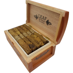OV Leaf by Oscar Sumatra Lancero Box 20