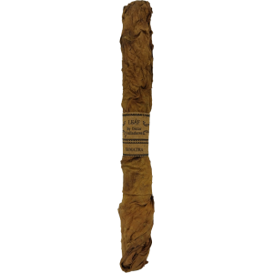 OV Leaf by Oscar Sumatra Lancero Box 20