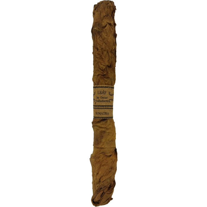 OV Leaf by Oscar Sumatra Lancero Box 20