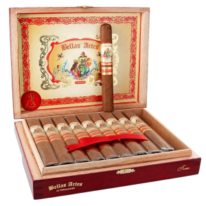 AJF Bellas Artes Toro Box 20