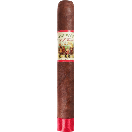 AJF New World Toro Redondo Box 20